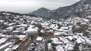 冰裹桃红三月雪：庐山美景惊游人